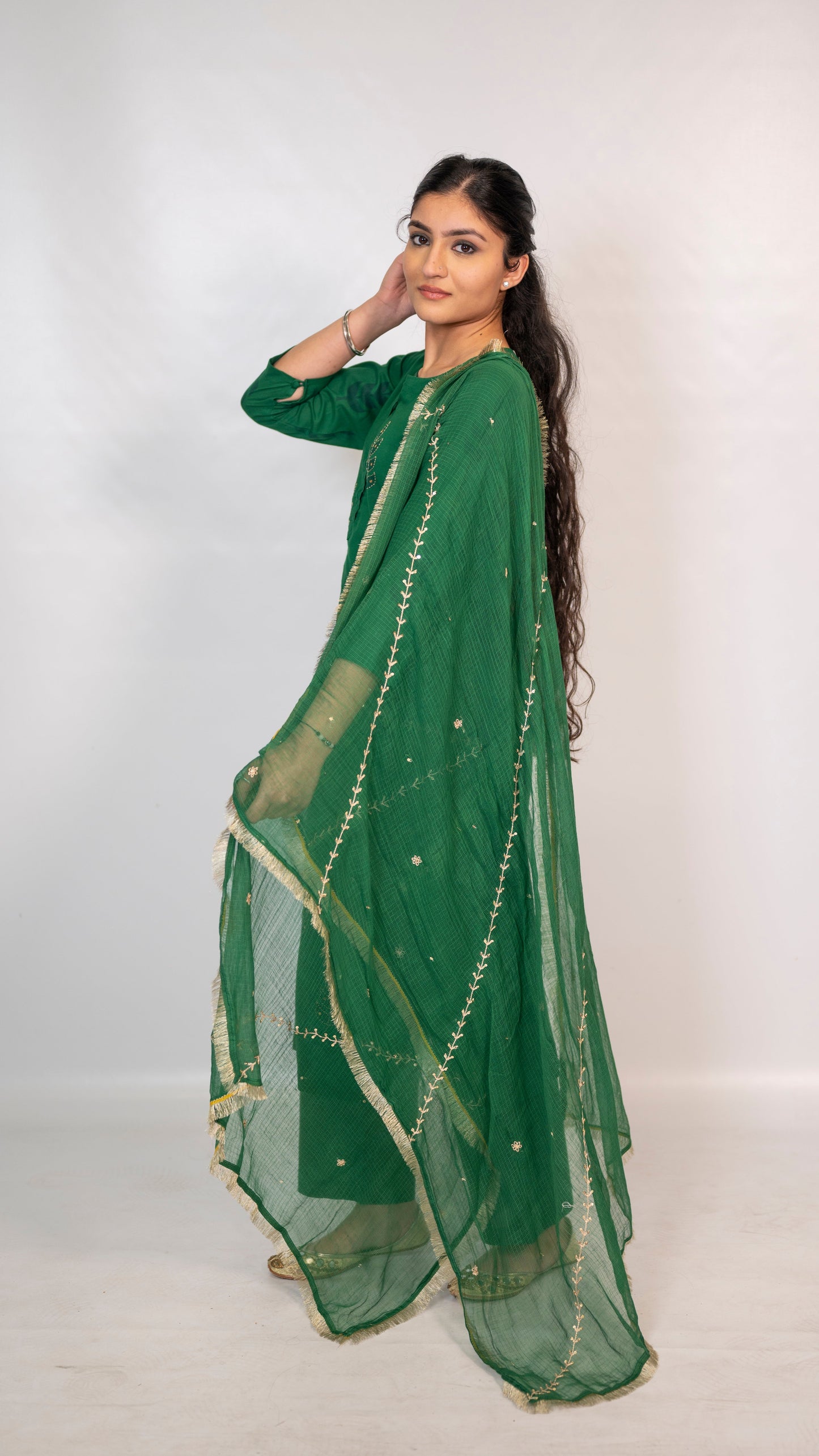 Cotton Green Block Print Embroidery Suit